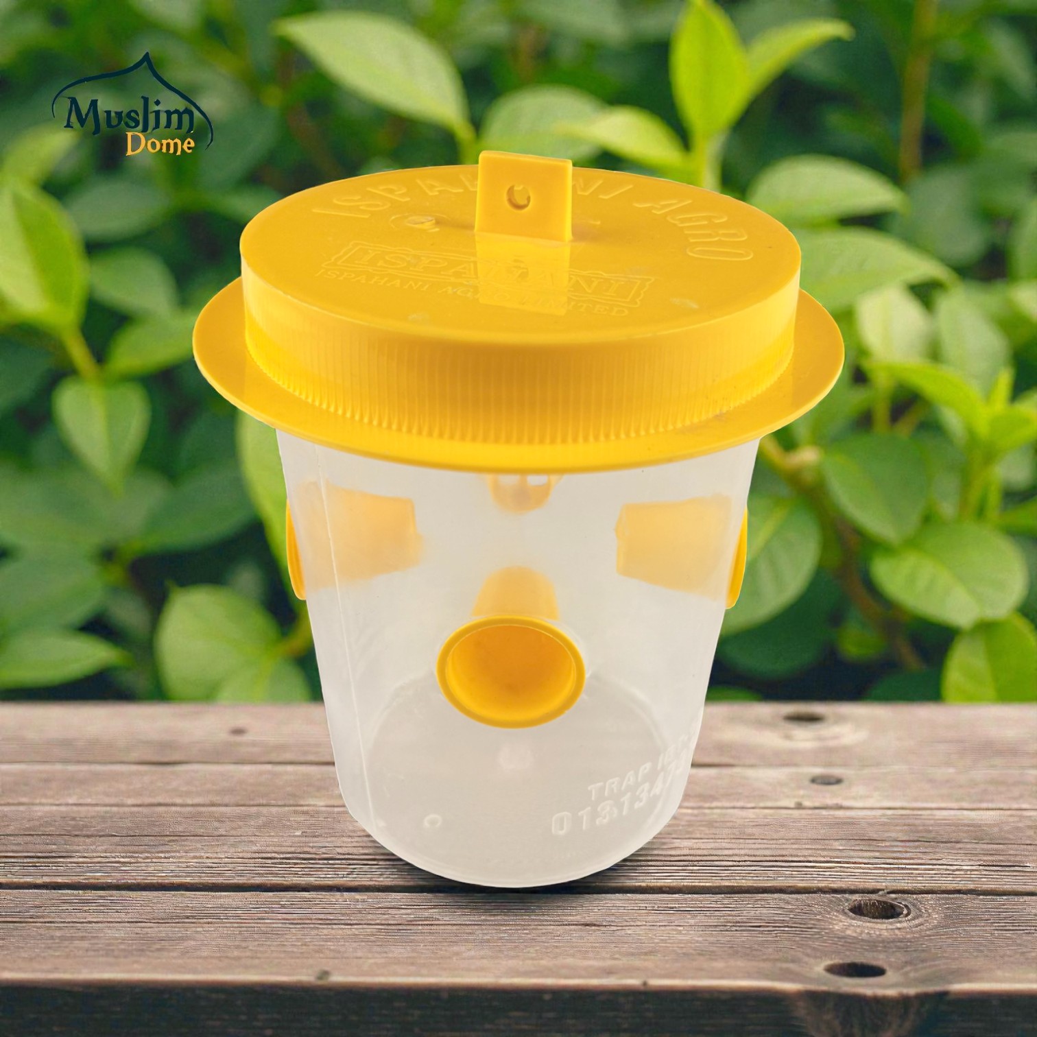 Pheromone Trap – Q Phero | ফেরোমন ফাঁদ – কিউ ফেরো thumbnail 2