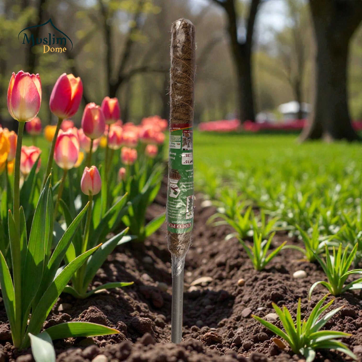 Coco Pole – Natural Plant Support Stick | কোকো পোল (প্রাকৃতিক গাছের সাপোর্ট স্টিক) thumbnail 2