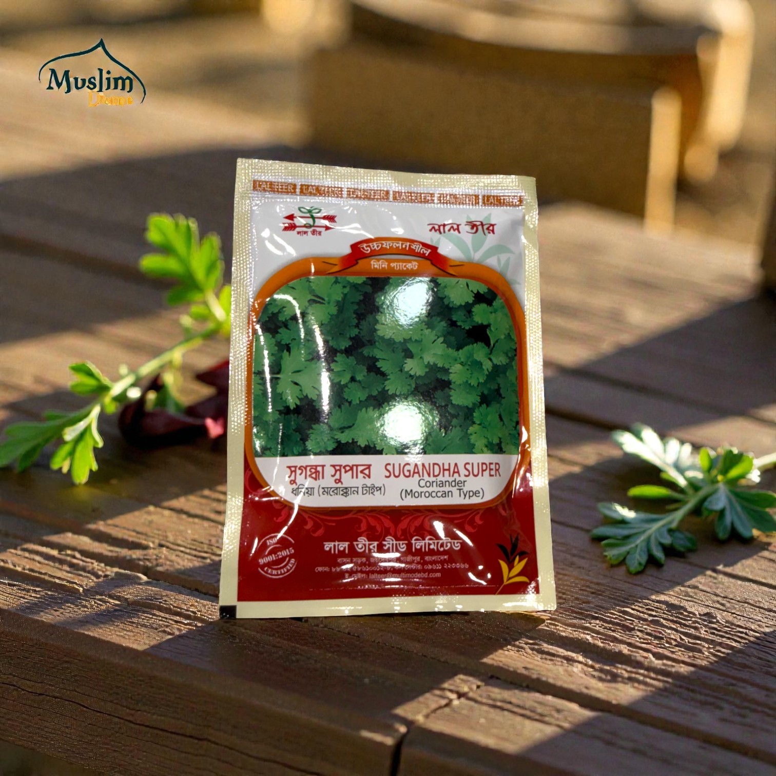 Coriander Seeds | ধনিয়া পাতার বীজ | SUGANDHA SUPER Coriander (লাল তীর) thumbnail 2