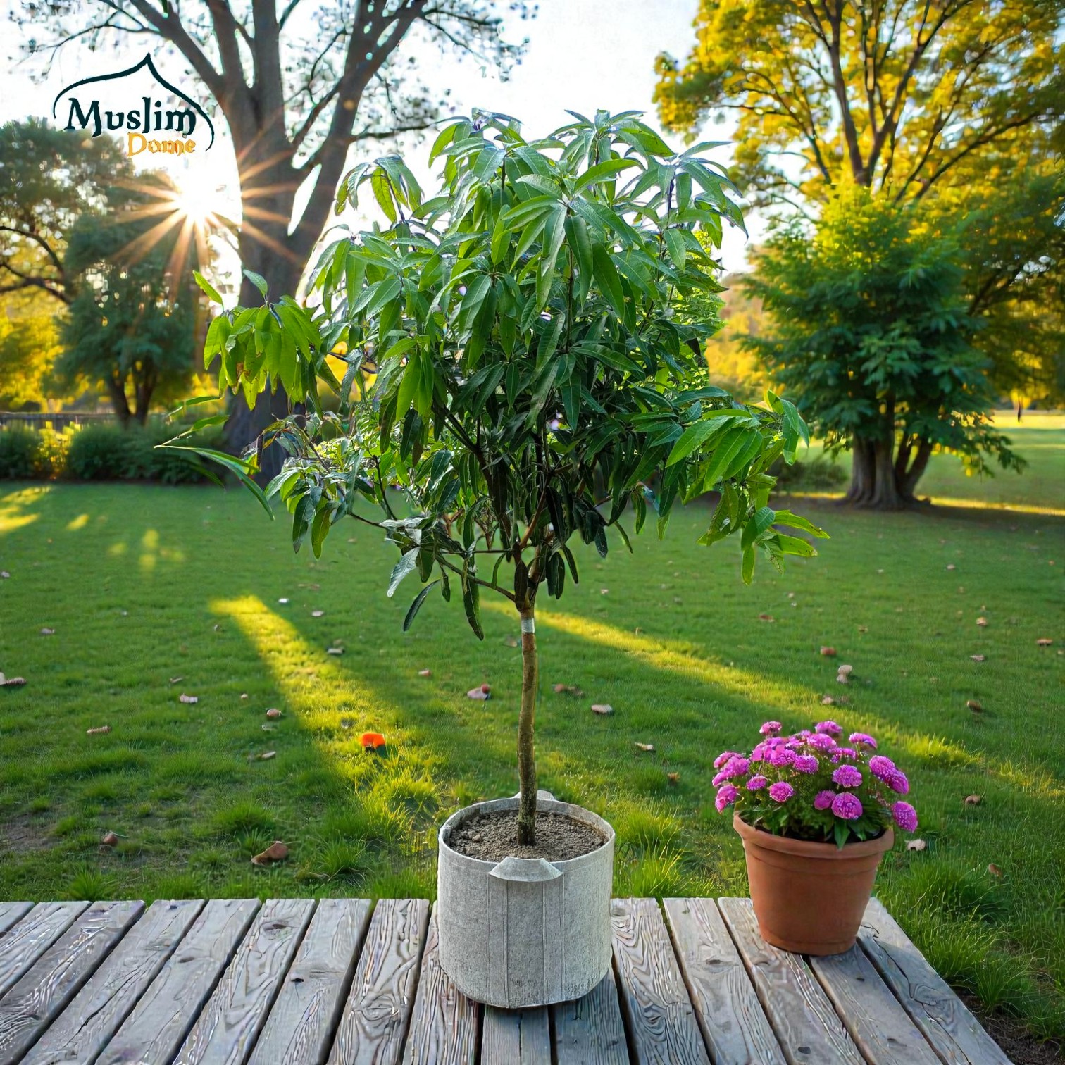 Ash Geo Gardening Grow Bag | ফলদায়ী গাছের জন্য জিও গ্রো ব্যাগ – ছাদ বাগানের জন্য – 600 GSM