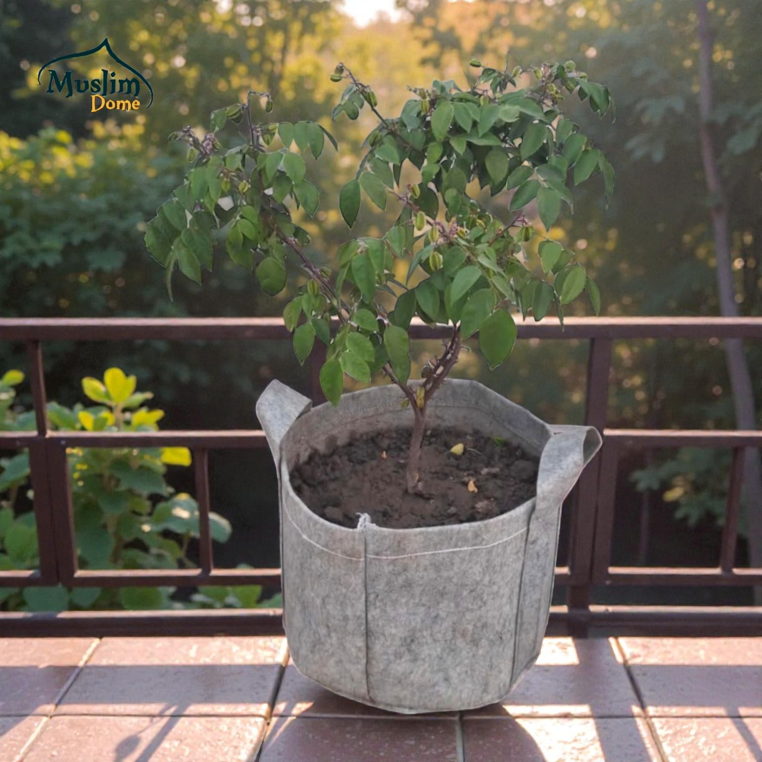 Ash Geo Gardening Grow Bag | ফলদায়ী গাছের জন্য জিও গ্রো ব্যাগ – ছাদ বাগানের জন্য – 600 GSM thumbnail 5