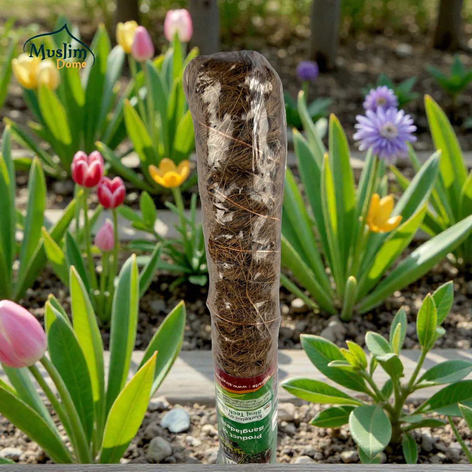 Coco Pole – Natural Plant Support Stick | কোকো পোল (প্রাকৃতিক গাছের সাপোর্ট স্টিক) thumbnail 3