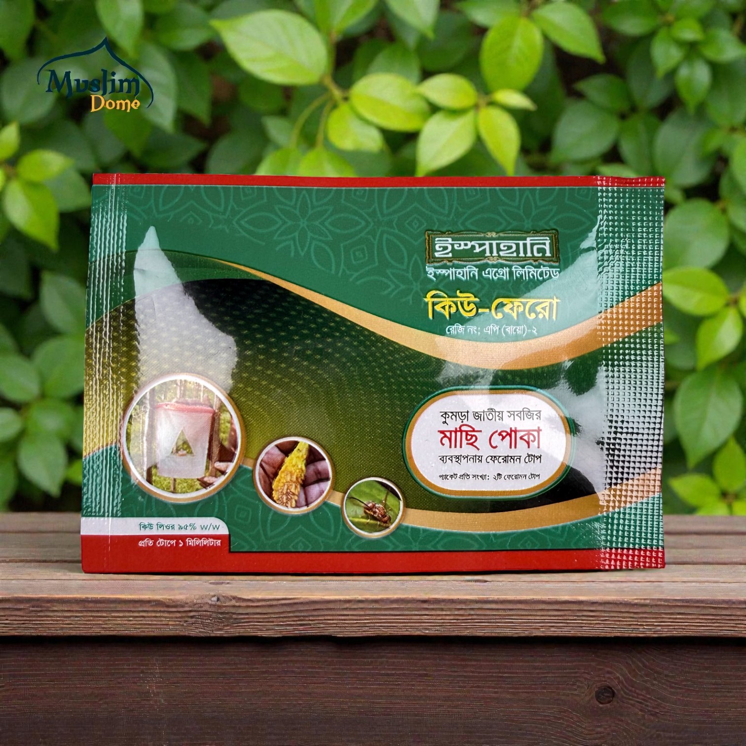 Pheromone Trap – Q Phero | ফেরোমন ফাঁদ – কিউ ফেরো