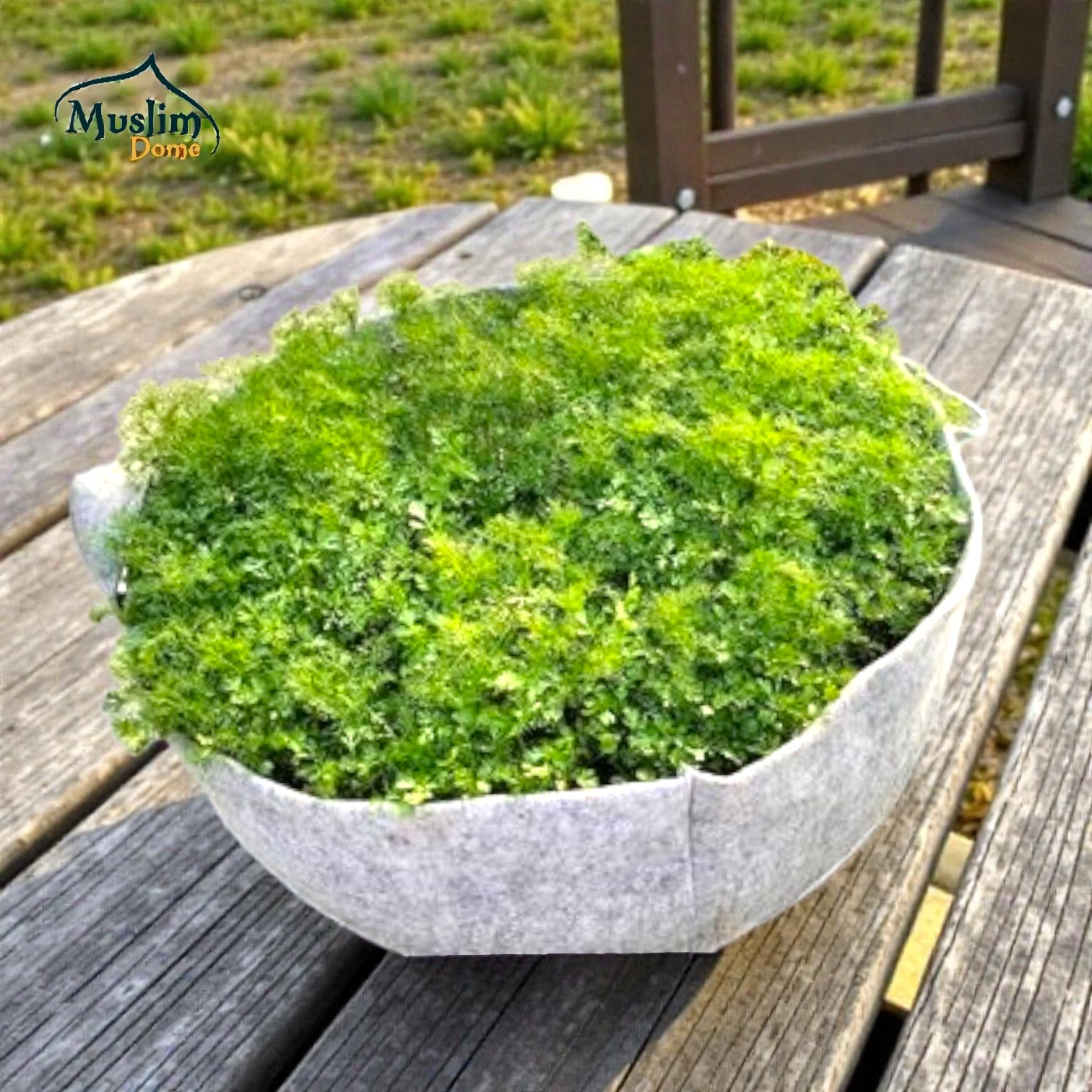 Ash Geo Gardening Grow Round Bed 600GSM | জিও গ্রো রাউন্ড বেড