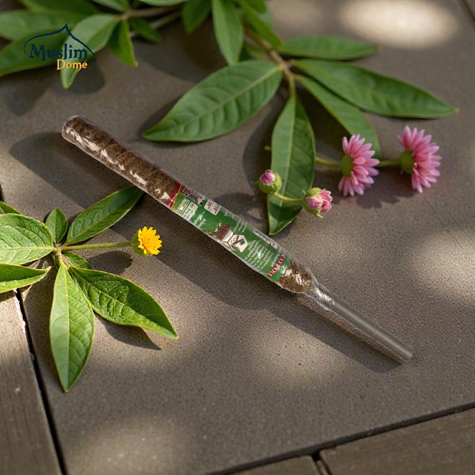 Coco Pole – Natural Plant Support Stick | কোকো পোল (প্রাকৃতিক গাছের সাপোর্ট স্টিক) thumbnail 4