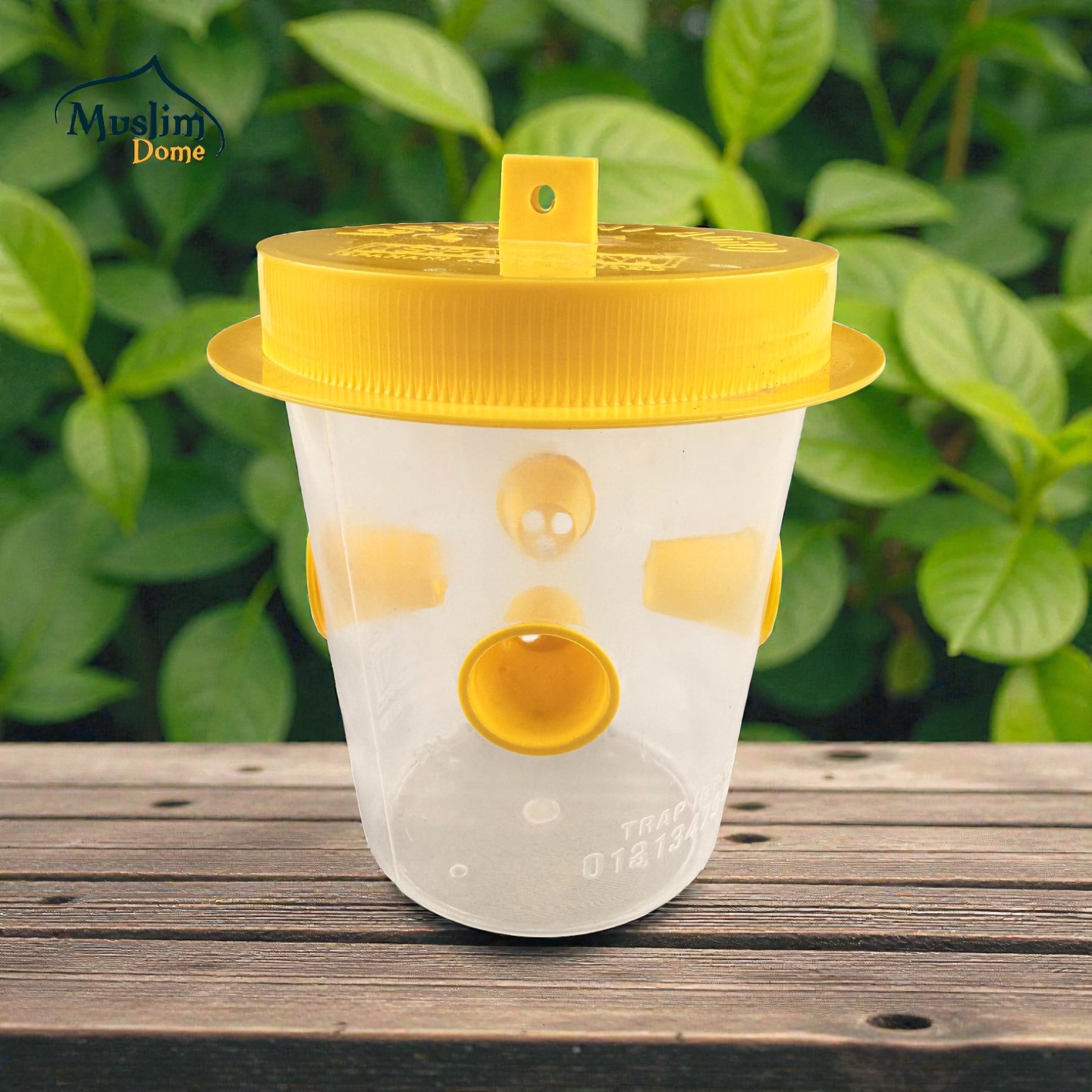 Pheromone Trap – Q Phero | ফেরোমন ফাঁদ – কিউ ফেরো