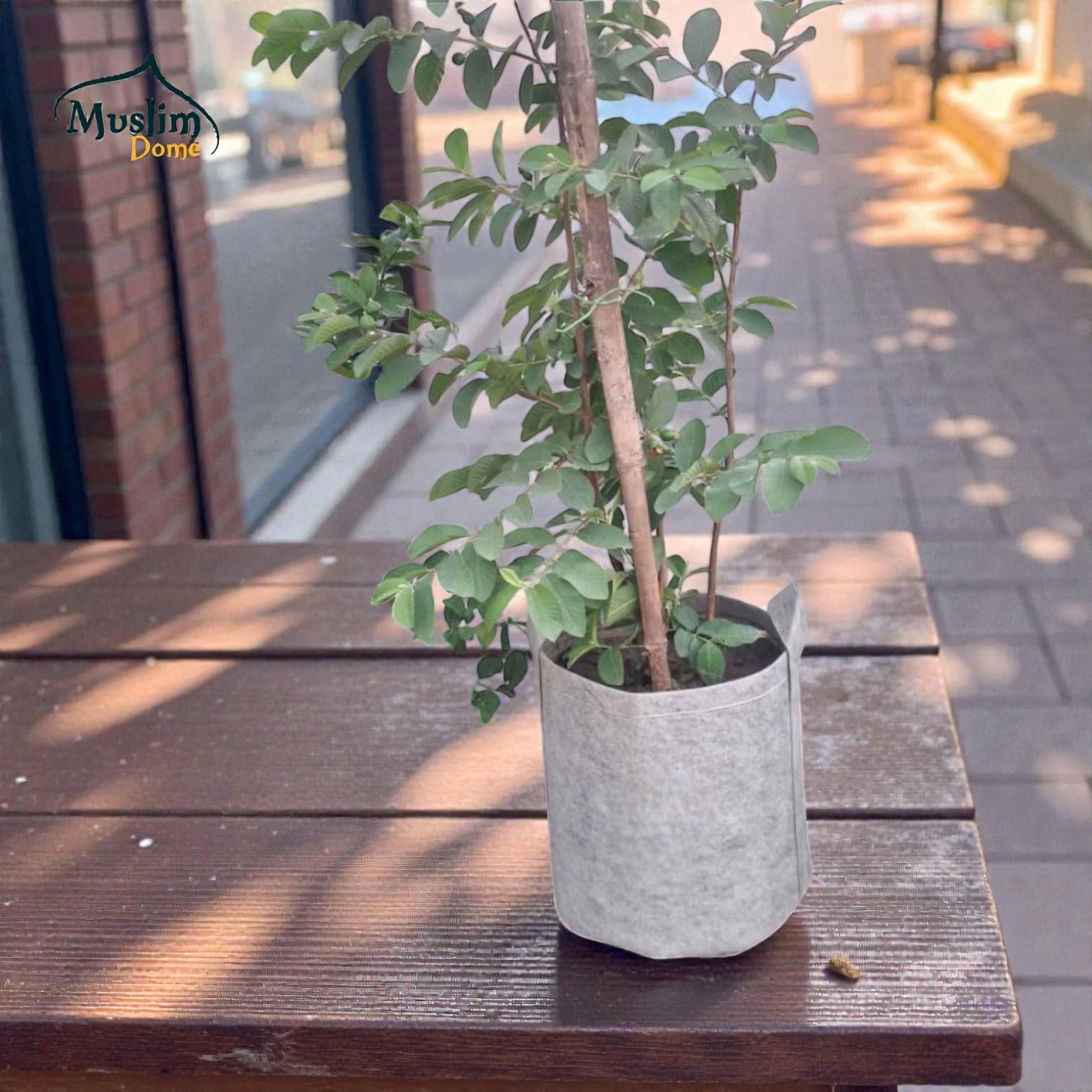 Ash Geo Gardening Grow Bag | ফলদায়ী গাছের জন্য জিও গ্রো ব্যাগ – ছাদ বাগানের জন্য – 600 GSM thumbnail 2